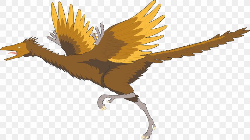 Archaeopteryx: The First Bird Archaeopteryx: The First Bird Dinosaur Clip Art, PNG, 1280x718px, Archaeopteryx, Beak, Bird, Bird Of Prey, Chicken Download Free