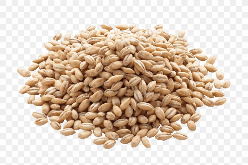 Barley Organic Food Cereal Whole Grain Rice, PNG, 1500x1000px, Barley, Bran, Bread, Cereal, Cereal Germ Download Free