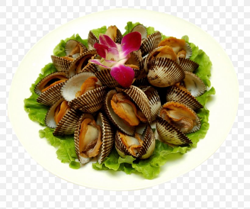 Cockle Clam Seafood Oyster Mussel, PNG, 1024x856px, Cockle, Animal Source Foods, Blood Clam, Clam, Clams Oysters Mussels And Scallops Download Free