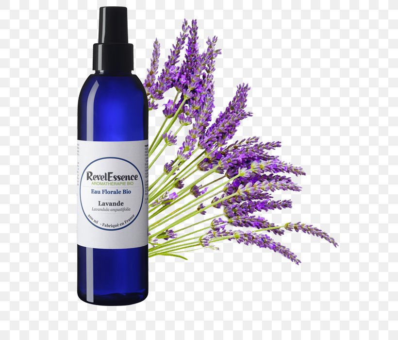 English Lavender Lavender Oil Essential Oil Provence, PNG, 700x700px, English Lavender, Aroma Compound, Aromatherapy, Essential Oil, Flavor Download Free