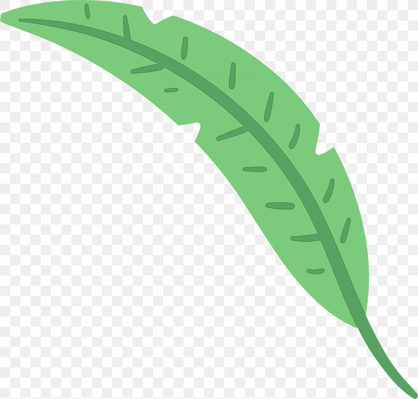Leaf Plant Stem Green M-tree Font, PNG, 3000x2864px, Leaf, Green, Line, Meter, Mtree Download Free