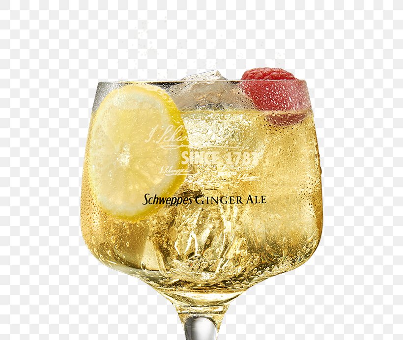 Ginger Ale Cocktail Garnish Gin And Tonic Schweppes, PNG, 625x692px, Ginger Ale, Bartender, Bourbon Whiskey, Classic Cocktail, Cocktail Download Free