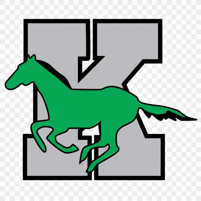 Kennesaw Mountain High School Kasson-Mantorville High School National Secondary School, PNG, 1024x1024px, Kennesaw Mountain High School, Area, Art, Artwork, Class Download Free