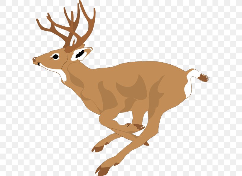 White-tailed Deer Clip Art, PNG, 600x596px, Deer, Antler, Deer Hunting, Elk, Fauna Download Free