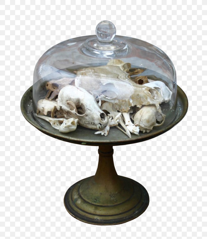 DeviantArt Bone Skeleton Artifact, PNG, 800x949px, Art, Art Museum, Artifact, Artist, Blood Download Free