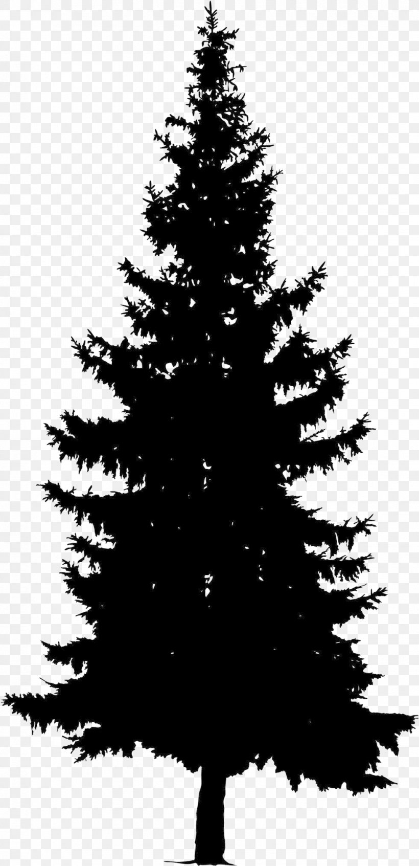 Christmas Black And White, PNG, 977x2018px, Pine, American Larch, Balsam Fir, Biome, Blackandwhite Download Free