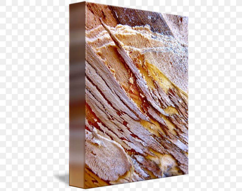 Wood Stain /m/083vt, PNG, 469x650px, Wood, Meat, Wood Stain Download Free