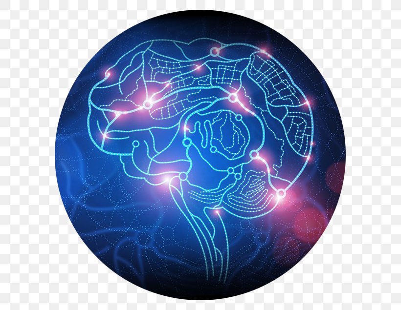 BRAIN Initiative Research Neuroimaging Science, PNG, 595x635px, Brain, Brain Initiative, Brain Mapping, Brain Size, Cerebral Cortex Download Free