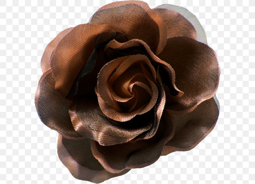 Chocolate, PNG, 600x592px, Chocolate, Brown, Flower, Petal, Rose Download Free
