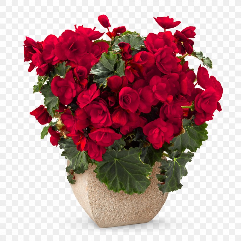 Flower Bouquet Red Rose Floristry, PNG, 1000x1000px, Flower Bouquet, Annual Plant, Artificial Flower, Begonia, Cut Flowers Download Free