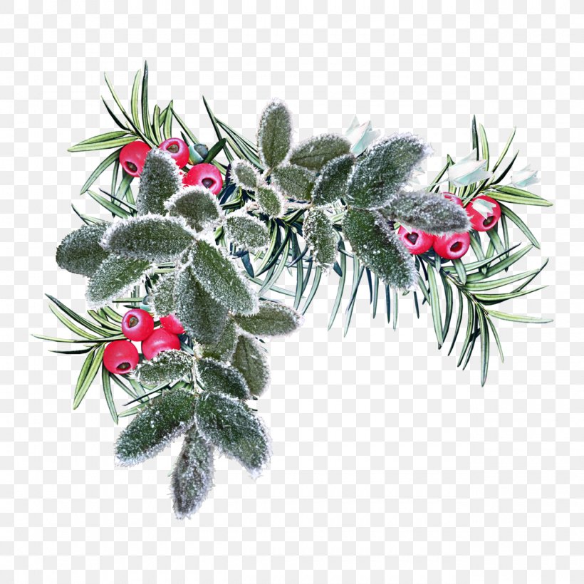 Flower Winter Christmas, PNG, 1280x1280px, Flower, Branch, Christmas, Christmas Ornament, Dots Per Inch Download Free