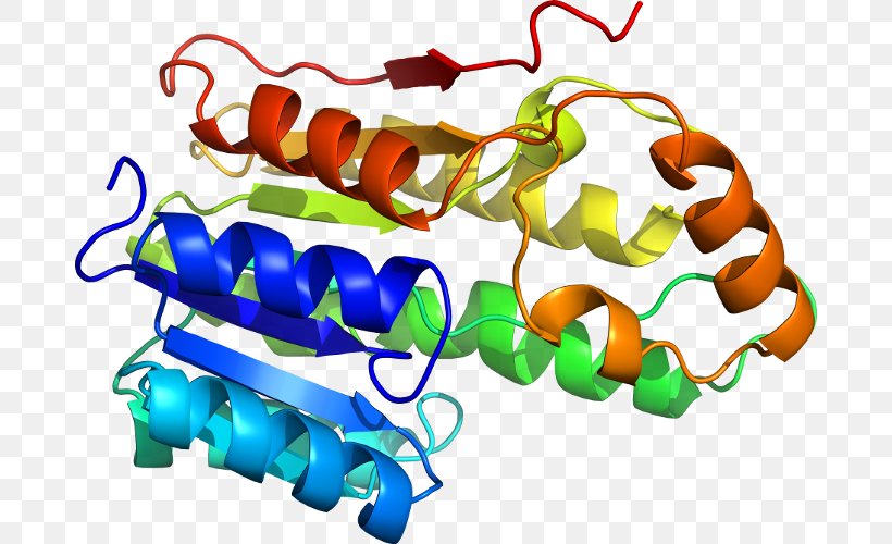 Homology Modeling Protein Structure Prediction Threading, PNG, 682x500px, Homology Modeling, Amino Acid, Bioinformatics, Biology, Computational Biology Download Free