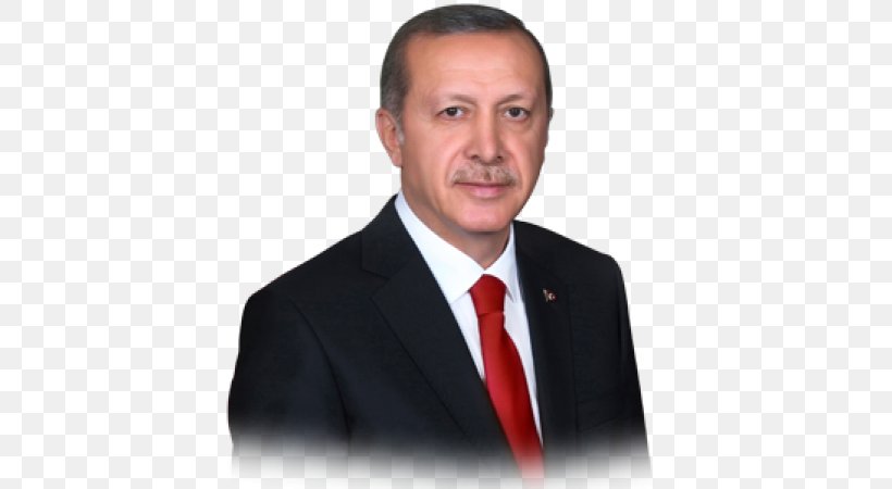 Recep Tayyip Erdoğan President Of Turkey The Power Of Your Metabolism Problem-Free Diabetes, PNG, 406x450px, Turkey, Business, Businessperson, Chin, Elder Download Free