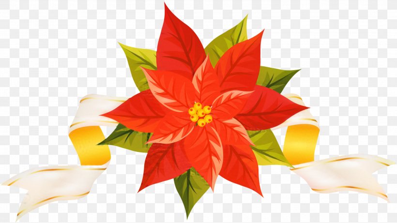 Christmas Poinsettia, PNG, 2995x1685px, Poinsettia, Anthurium, Borders And Frames, Christmas Day, Flower Download Free
