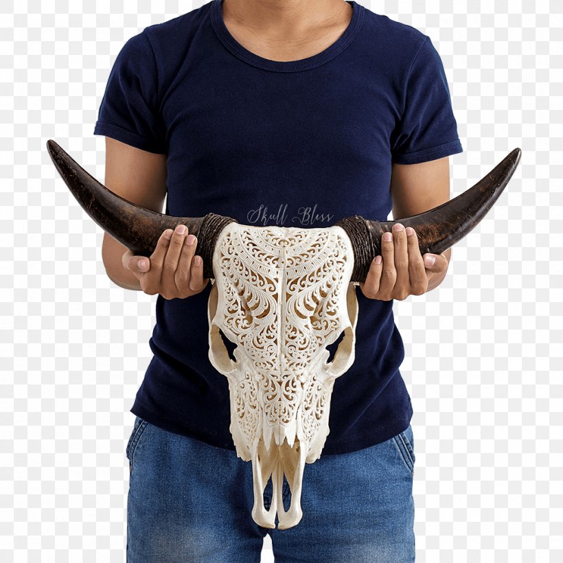 Horn Cattle Skull Orbit Bone, PNG, 1000x1000px, Horn, Bone, Cattle, Cattle Drive, Color Download Free