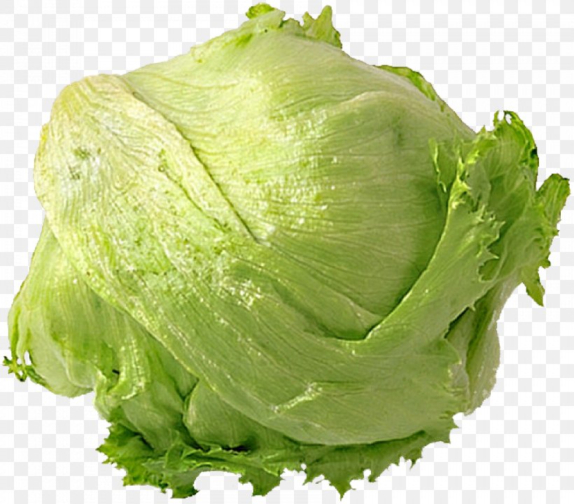 Romaine Lettuce Mesclun Leaf Vegetable Iceberg Lettuce Cruciferous Vegetables, PNG, 902x792px, Romaine Lettuce, Cabbage, Capitata Group, Collard Greens, Corn Salad Download Free
