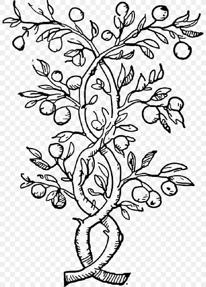 Vector Graphics Clip Art Fruit Tree Olive, PNG, 800x1140px, Tree, Apple, Art, Blackandwhite, Botany Download Free