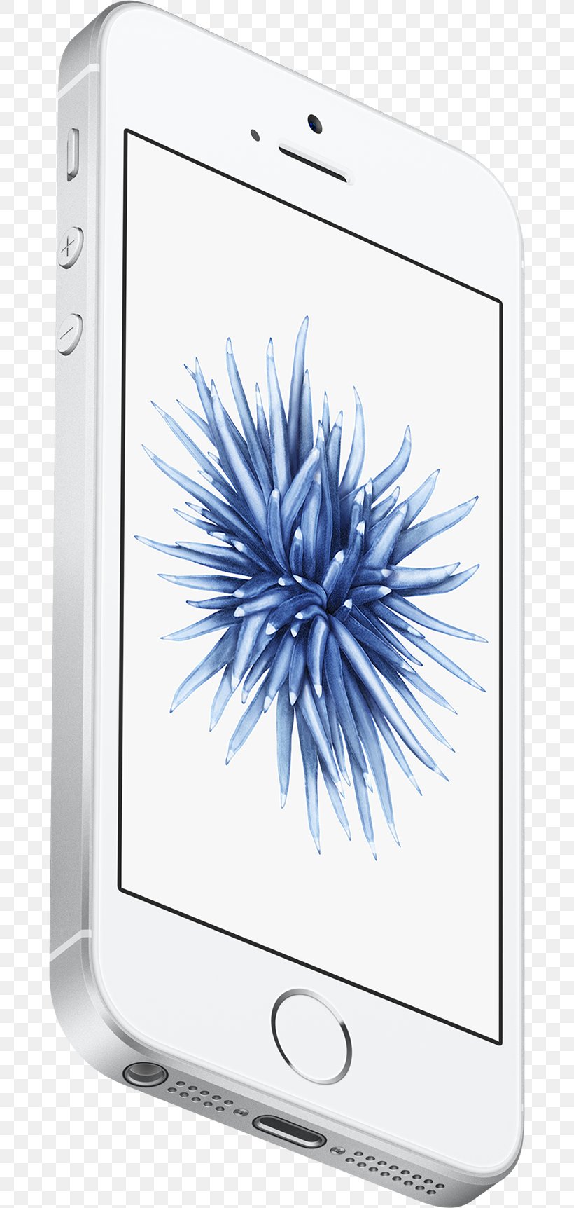 IPhone 6S Apple 4G, PNG, 680x1724px, Iphone 6, Apple, Flower, Gadget, Iphone Download Free