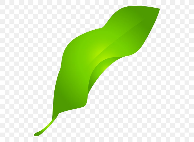 Leaf Clip Art Product Design Plant Stem Line, PNG, 600x600px, Leaf, Arum Family, Botany, Green, Logo Download Free