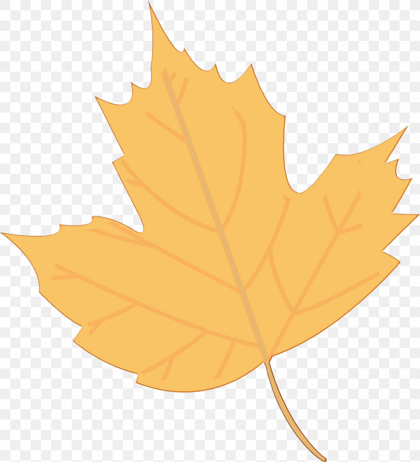 Leaf Maple Leaf / M Tree Plant Science, PNG, 1500x1653px, Watercolor, Biology, Leaf, Maple Leaf M, Paint Download Free