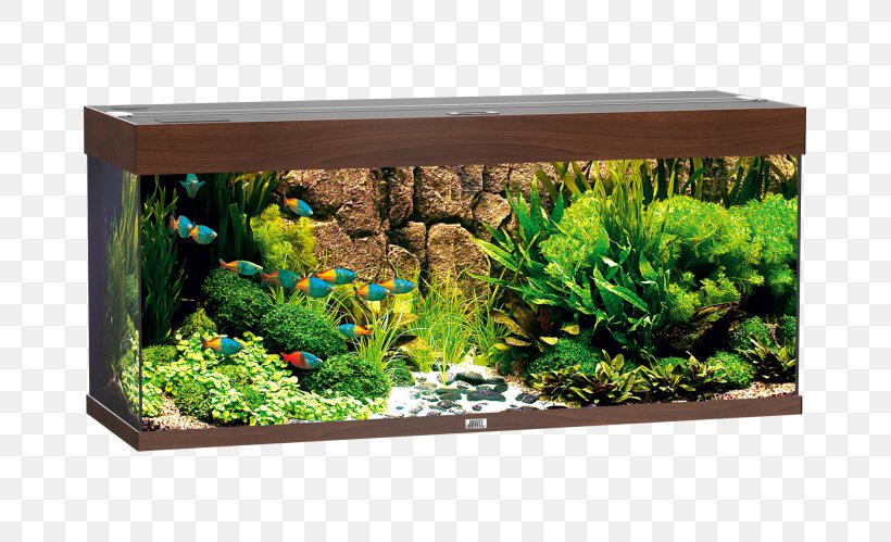 Aquariums JUWEL Rio 240 LED Fishkeeping Aquarium Filters, PNG, 665x499px, Aquarium, Aquarium Decor, Aquarium Filters, Aquariums, Aquatic Plant Download Free