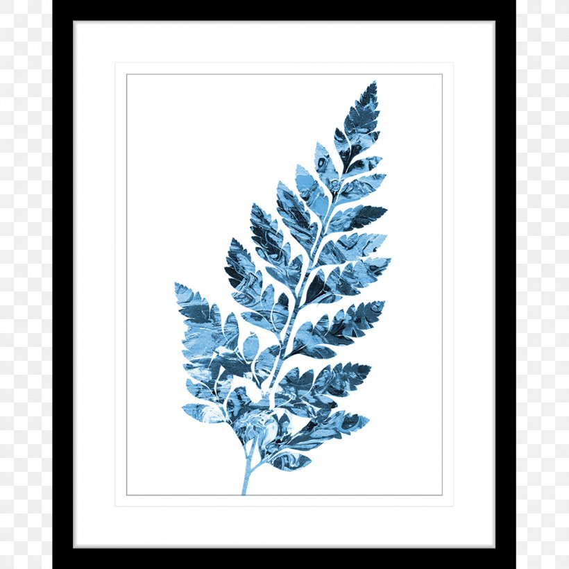 Cobalt Blue Twig Pine Leaf, PNG, 1000x1000px, Cobalt Blue, Blue, Branch, Cobalt, Conifer Download Free