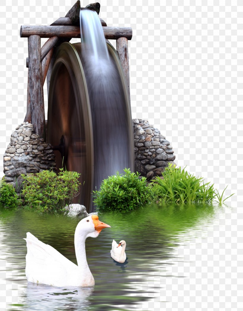 Download Computer File, PNG, 1537x1969px, Blogcucom, Beak, Bird, Duck, Ducks Geese And Swans Download Free