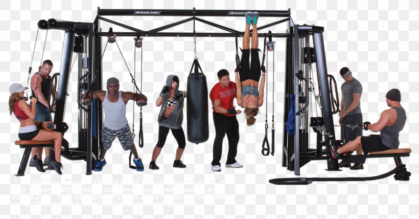 Fitness Centre Physical Fitness Exercise Machine Star Trac, PNG, 1200x627px, Fitness Centre, Discount Online Fitness, Dumbbell, Exercise, Exercise Machine Download Free