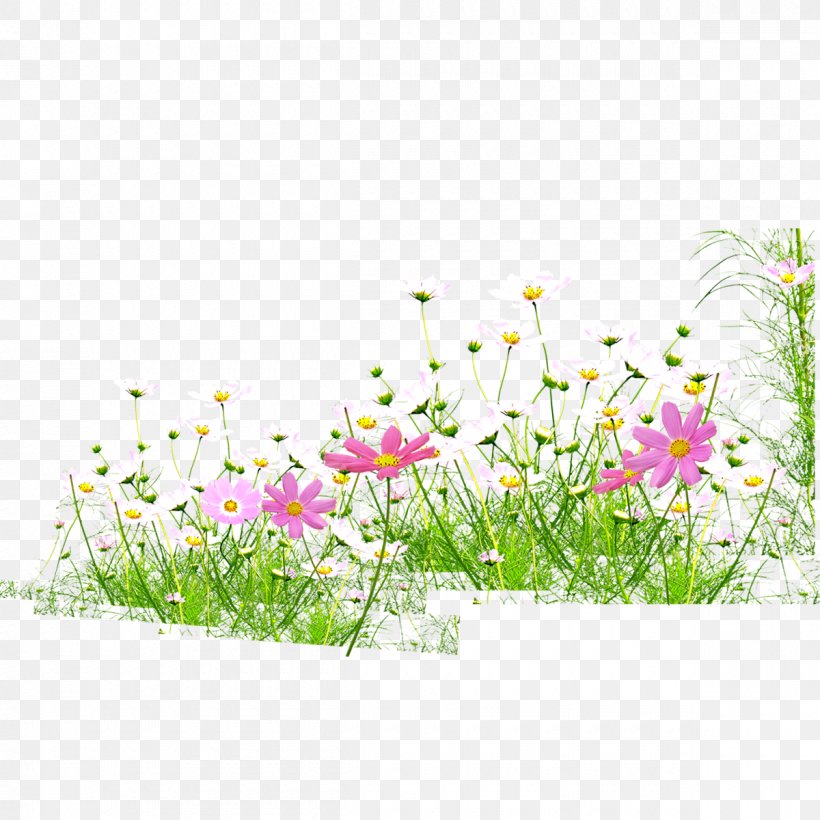 Flowers,grass,spring,bloom, PNG, 1200x1200px, Flower, Button, Flora, Floral Design, Floristry Download Free