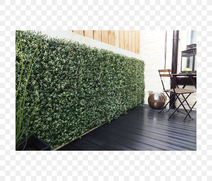 Hedge Box Fence Garden Wall, PNG, 700x700px, Hedge, Artificial Turf, Box, Evergreen, Fence Download Free