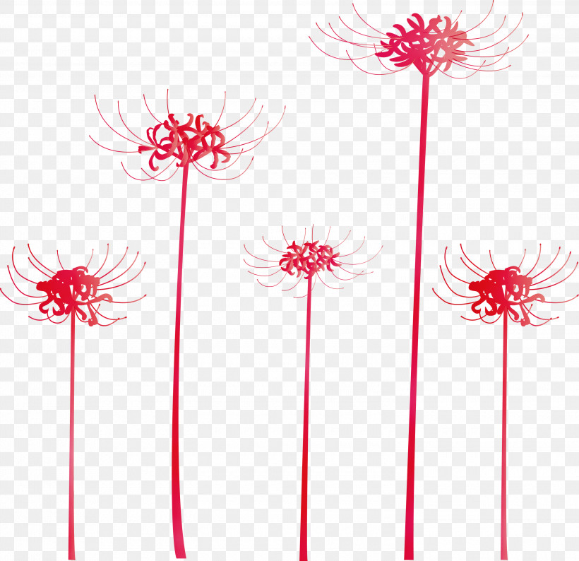 Pink Flower Plant Pedicel Line, PNG, 3000x2908px, Hurricane Lily, Cut Flowers, Flower, Gerbera, Line Download Free