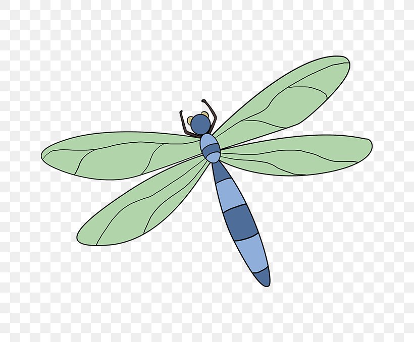 A Dragonfly? Drawing Tutorial Image, PNG, 680x678px, Dragonfly, Arthropod, Cartoon, Damselfly, Dragonflies And Damseflies Download Free