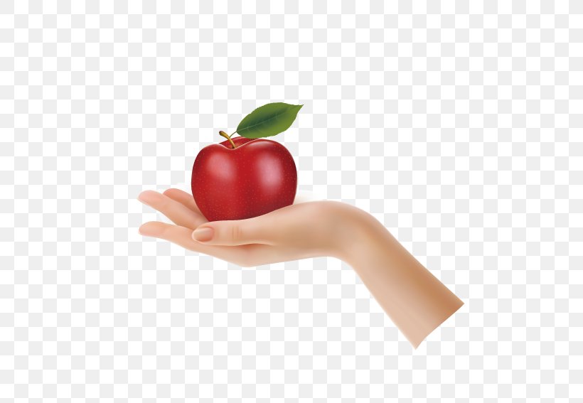 Apple Hand Stock Photography Clip Art, PNG, 567x567px, Apple, Arm, Computer, Diet Food, Food Download Free