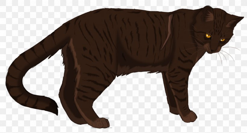 Domestic Short-haired Cat Havana Brown Manx Cat Warriors Hawkfrost, PNG, 1024x552px, Domestic Shorthaired Cat, Animal Figure, Black Cat, Carnivoran, Cat Download Free