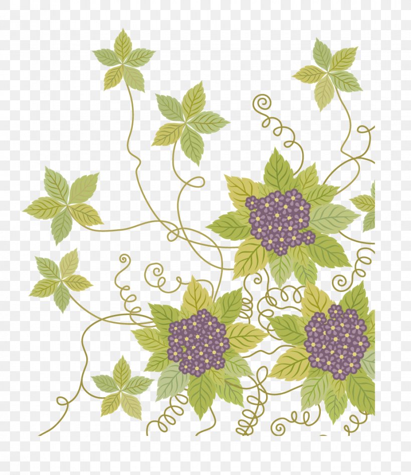Flower Euclidean Vector Vine Clip Art, PNG, 925x1069px, Flower, Border, Drawing, Element, Flora Download Free