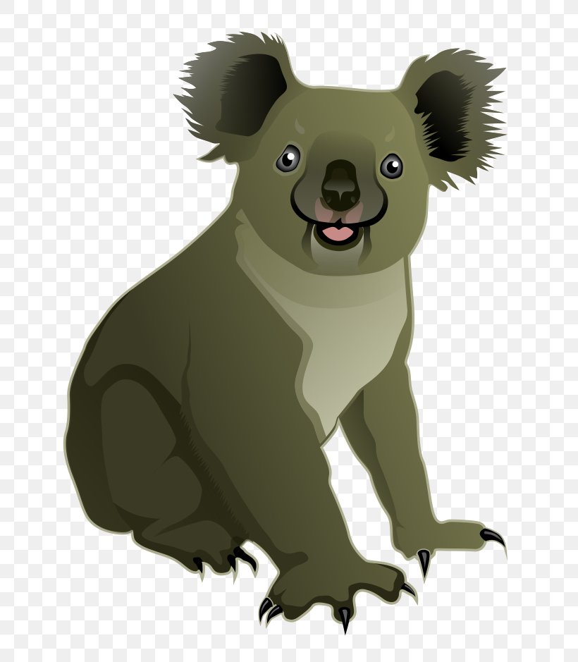 Koala Bear Clip Art, PNG, 778x939px, Koala, Albom, Bear, Carnivoran, Com Download Free