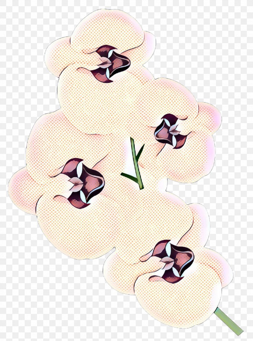 Orchids Clip Art Transparency Free Content, PNG, 2219x3000px, Orchids, Cattleya Orchids, Christmas Orchid, Drawing, Flower Download Free