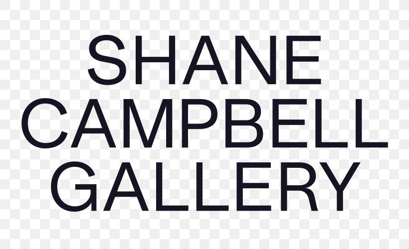 Shane Campbell Gallery Art Museum Anton Kern Gallery Logo, PNG, 800x500px, Shane Campbell Gallery, Abstract Art, Area, Art, Art Museum Download Free