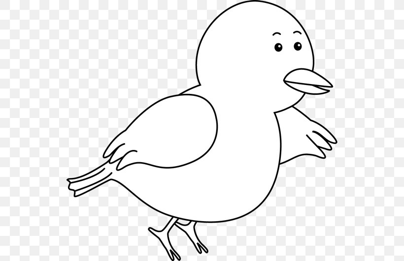 Bird Chicken Black And White Domestic Pigeon Clip Art, PNG, 550x531px, Bird, Anatidae, Animal, Area, Artwork Download Free