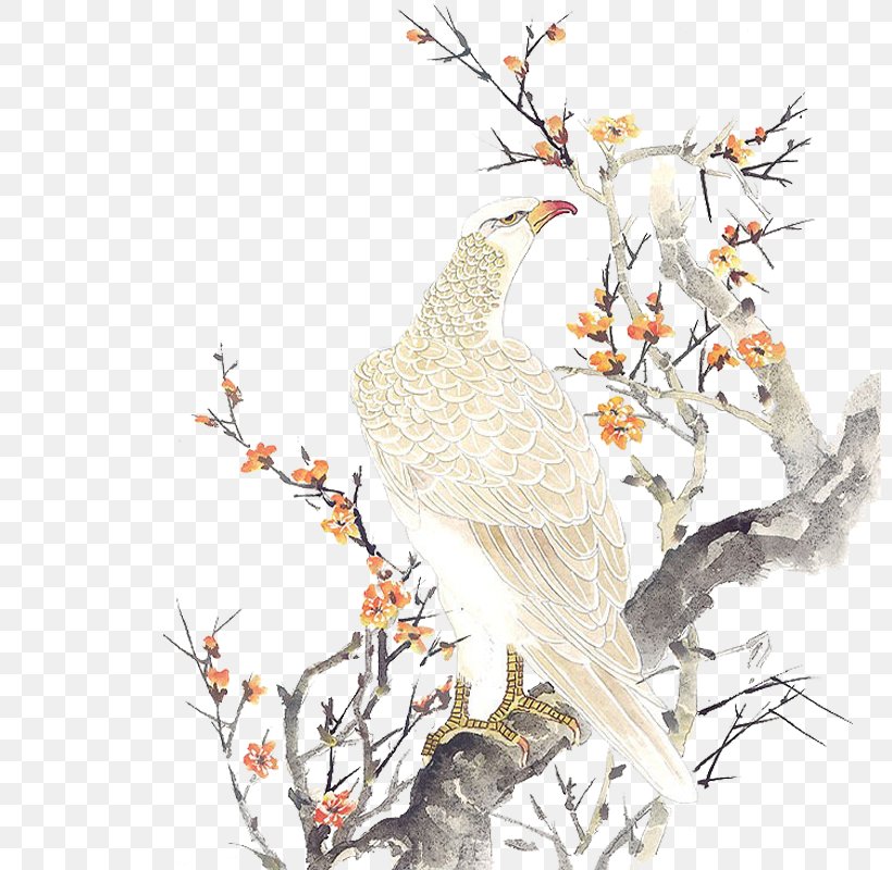 La Pintura China Painting Chinese Art Drawing, PNG, 800x800px, China, Art, Bird, Blossom, Branch Download Free