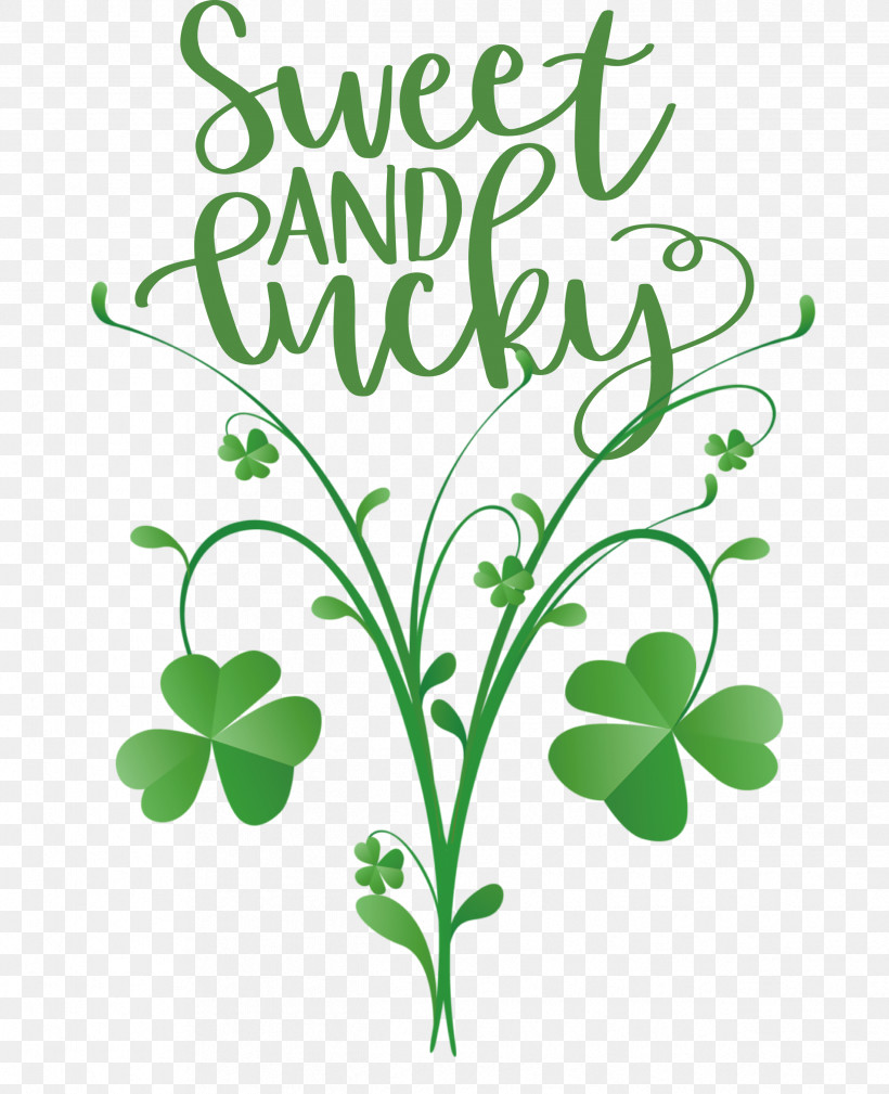 Sweet And Lucky St Patricks Day, PNG, 2437x3000px, St Patricks Day, Flower, Green, Herb, Herbal Medicine Download Free