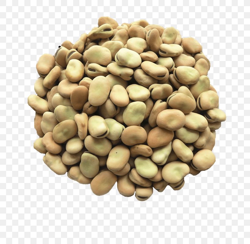 Vegetarian Cuisine Broad Bean Legume Seed, PNG, 800x800px, Vegetarian Cuisine, Bean, Broad Bean, Canning, Commodity Download Free