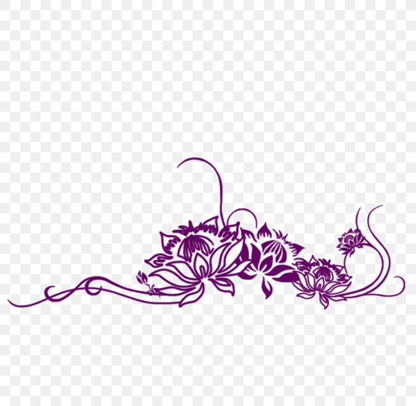 Violet Flower Drawing Mauve Parme, PNG, 800x800px, Violet, Branch, Color, Drawing, Flower Download Free