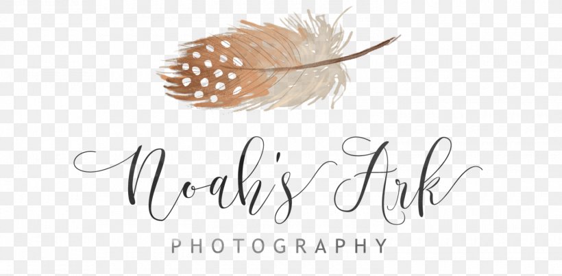 Blog Photography Referenzen Like Button Photographer, PNG, 1500x739px, Blog, Brand, Calligraphy, Facebook, Feather Download Free