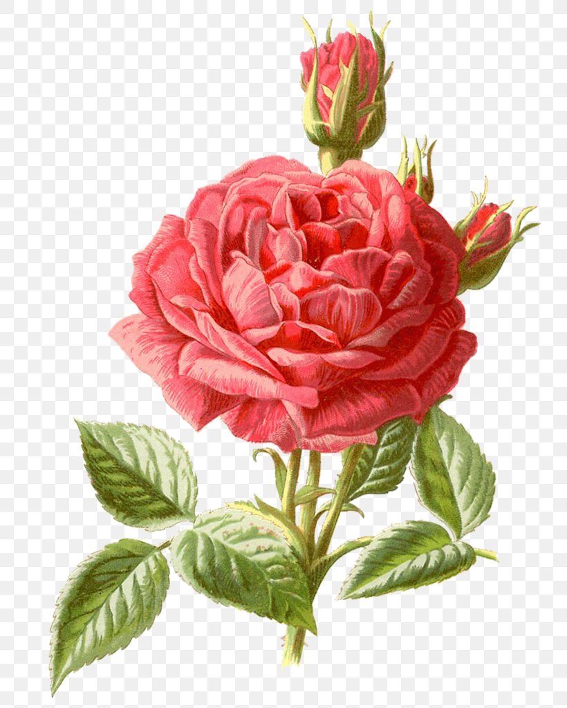 Cross-stitch Flower Bouquet Rose Pattern, PNG, 755x1024px, Crossstitch, Artificial Flower, Backstitch, Botanical Illustration, Craft Download Free