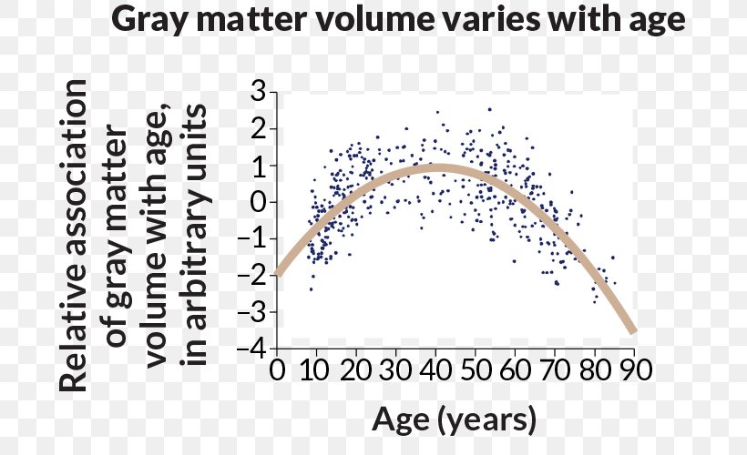 Grey Matter Aging Brain White Matter Ageing, PNG, 730x500px, Grey Matter, Ageing, Aging Brain, Area, Brain Download Free