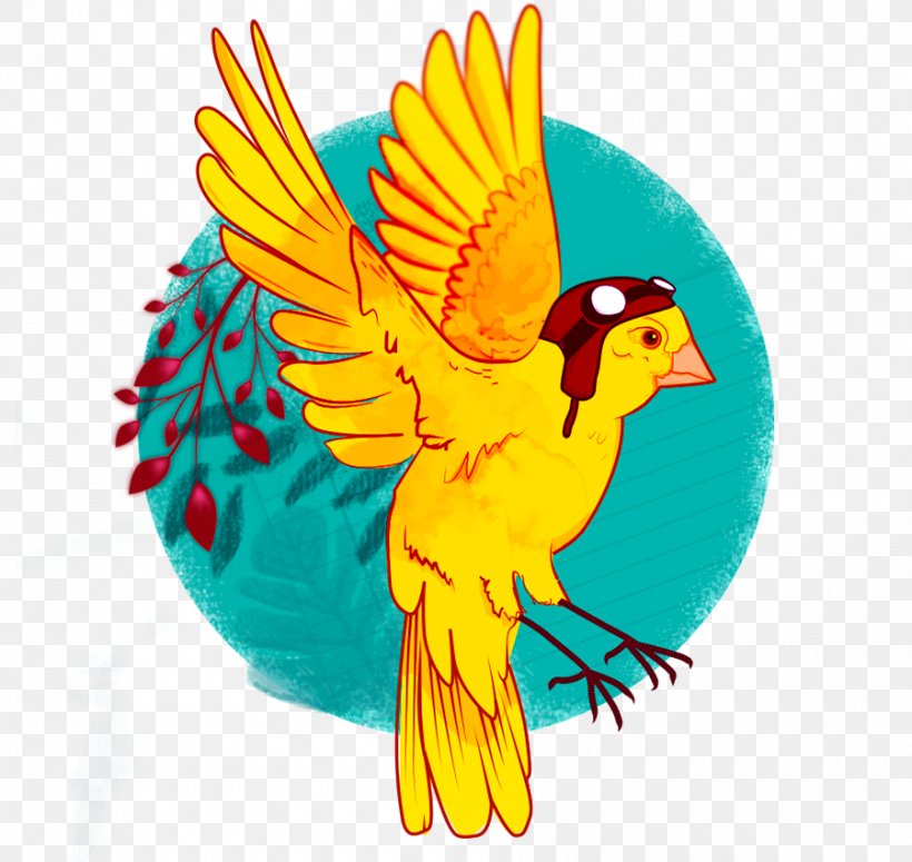 Macaw Feather Beak Parakeet Wing, PNG, 900x851px, Macaw, Beak, Bird, Chicken, Chicken As Food Download Free