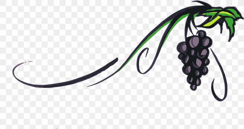 Piquepoul Wine Grape Vine Clip Art, PNG, 1735x919px, Piquepoul, Common Grape Vine, Drawing, Free Content, Fruit Download Free