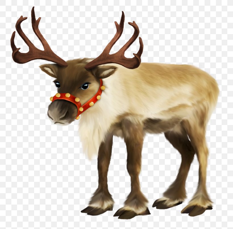Reindeer Clip Art Psd, PNG, 800x806px, Reindeer, Animal Figure, Antler, Cattle Like Mammal, Christmas Day Download Free