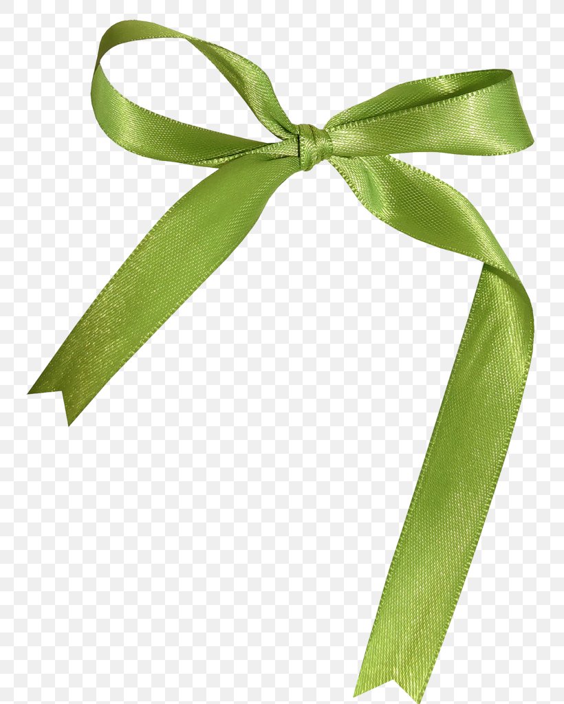 Ribbon Leaf, PNG, 787x1024px, Ribbon, Green, Leaf Download Free